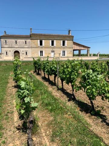 Gite Du Chateau La Rose Des Vents Villa Puisseguin Dış mekan fotoğraf